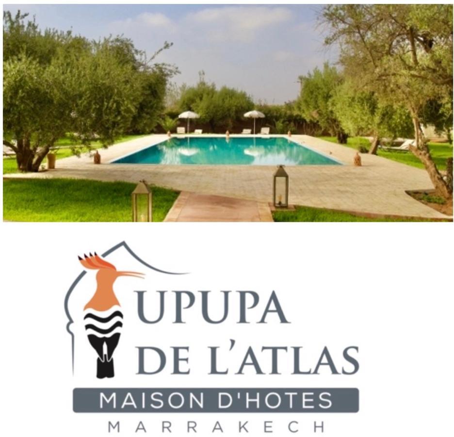 Upupa De L'Atlas Oulad el Guern Экстерьер фото